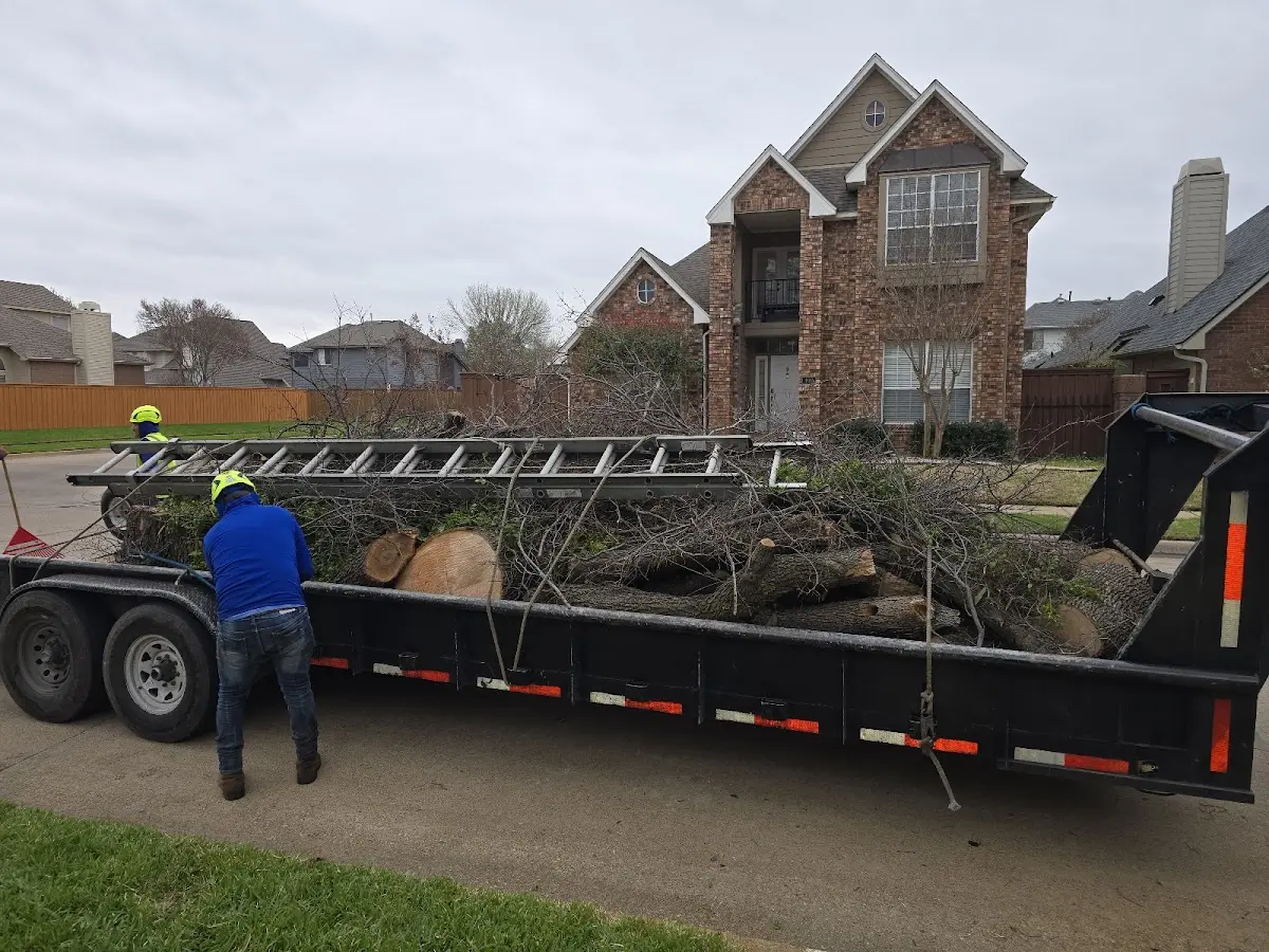 Expert Tree Pest Control with proper safety equipment in Luther